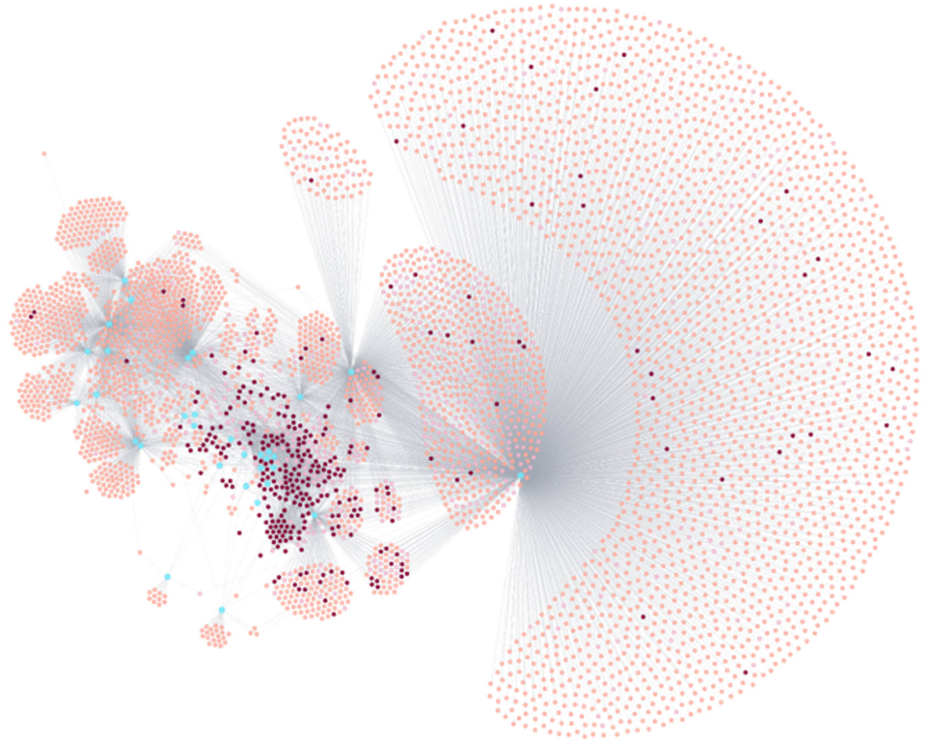 Large seller ecosystem graph showing protected and unprotected brand clusters, general sellers, and confirmed bad actors